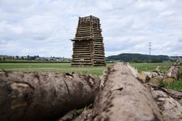 Traité ou non? De quel bois se chauffent les feux de joie du 1er Août?